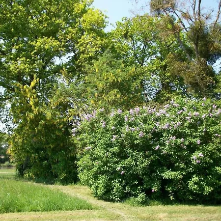 Charming Home In Loire Near Mayenne River, Cleaning Included *